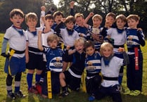 Mini-rugby festival does its best to cash in on World Cup fever