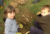 Bulb planting day