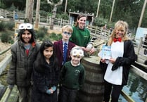 Penguin writes book - with just a little help from Tess