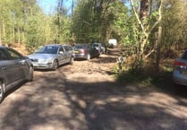 Mayhem down narrow country  lane