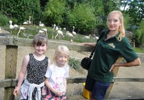 Birdworld embarks on a Summer of Fun events