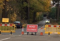 Driver dies after crash on A286 Haslemere Road