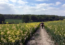 Treloar to hold St Swithun’s charity Walk