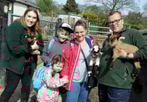Spring arrivals at Birdworld