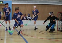 Farnham Fireballs outshine the Hawks