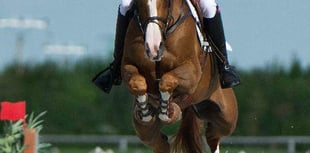 Harry goes for Young Rider glory