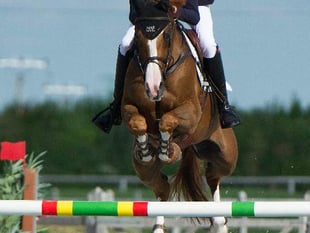 Harry goes for Young Rider glory