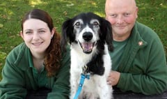 Recognition for joint animal welfare team
