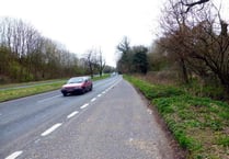 Survey shows support for A31 cycle ban