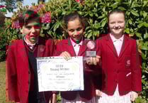 National glory awaits Rotary Young Writers