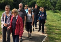 Walking festival gets into stride