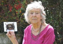 Heartfelt plea for news of Emily