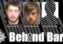 Waverley crime spree trio are jailed