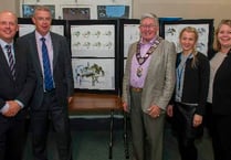 Affordable homes in Wey Hill consultation