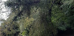 Woolmer Hill to remain closed until Monday, says county