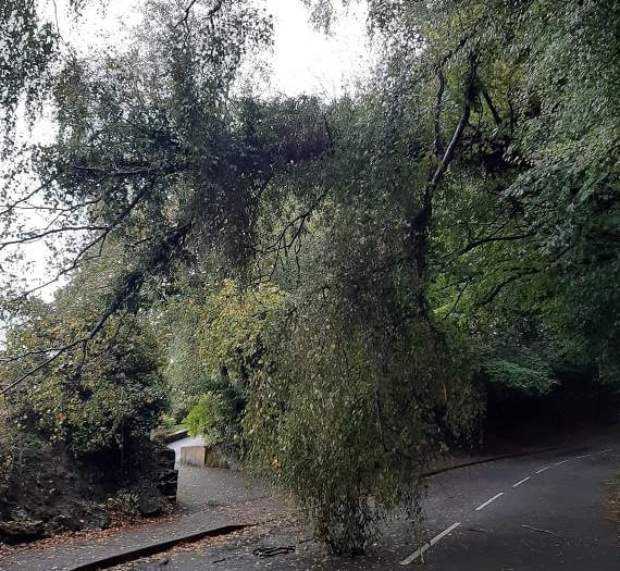 Woolmer Hill to remain closed until Monday, says county