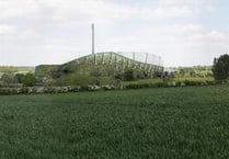 Letter of the Week: A31 incinerator plan would be ruinous, says flower farm owner