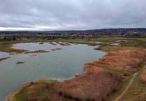 Wynde of Change: Fancy learning more about Tices Meadow? We're opening up