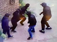 Masked thugs scared off by Frith End homeowners
