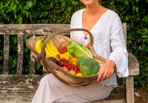Travel maestro Lucy’s food delivery business takes flight