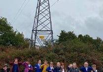 Now or never: SSE gives Waverley Abbey School pylons ultimatum