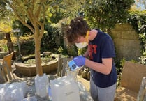 Witley schoolboy's a bit handy at making sanitiser