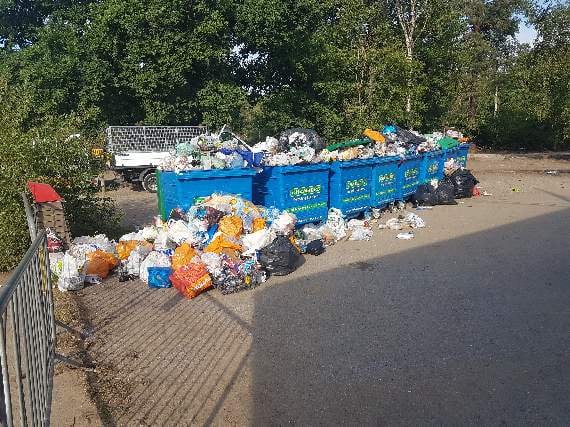 Council: Help is coming to Frensham Great Pond