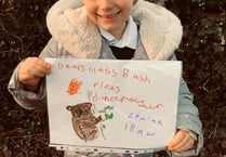 Six year-old on a mission to help bushfire victims
