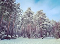 Residents fear being driven howling mad by werewolf film production