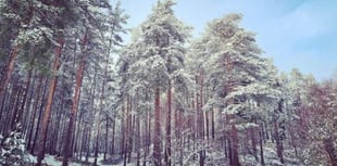 Residents fear being driven howling mad by werewolf film production