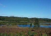 Time to celebrate our precious heathlands