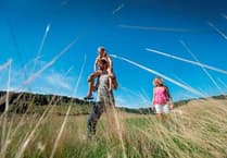 Free health and wellbeing activities at Queen Elizabeth Country Park
