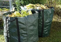 'Root and branch' review of East Hampshire's garden waste service