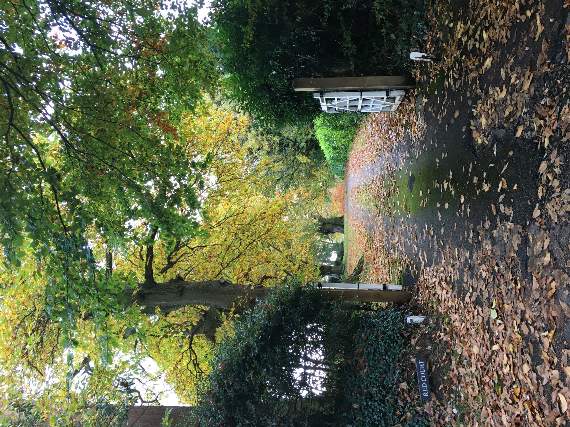 Nikki Barton: Haslemere’s beautiful countryside faces destruction unless we speak out