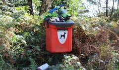 Owners told to take dog poo home as bins binned at National Trust common