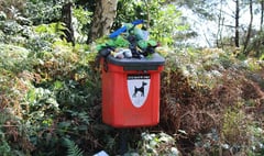 Owners told to take dog poo home as bins binned at National Trust common