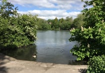 Criticism of Kings Pond tree works