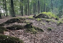 Could deer park derail housing plans?