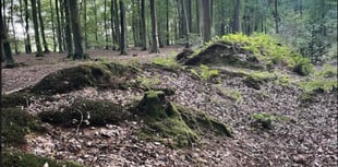 Could deer park derail housing plans?