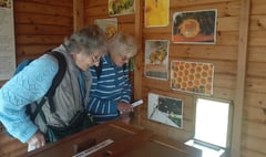Botanical visitors at Haslemere Museum and Swan Barn Farm