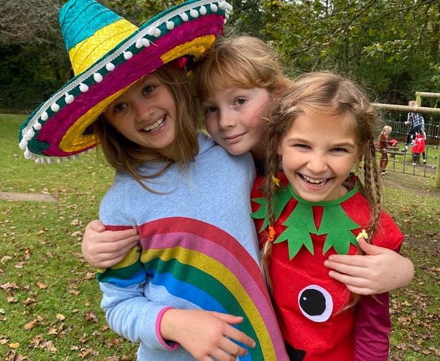 St Ives School holds languages festival