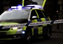 Appeal for witnesses after fatal crash on A339