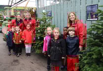 Schools get in festive spirit