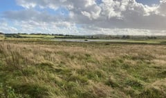 Future of Tice's Meadow Nature Reserve secured as councils complete purchase
