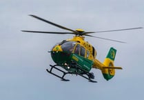 Pensioner arrested on suspicion of drug-driving after two die in horror Selborne crash