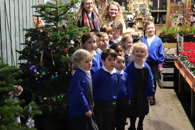 South Farnham School is top of the tree