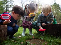 Forest fun on offer at St Ives School