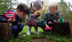 Forest fun on offer at St Ives School