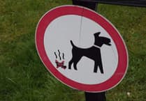 Dog walkers handed 44 fixed penalty fines in Waverley over three years