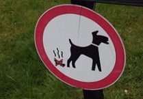 Dog walkers handed 44 fixed penalty fines in Waverley over three years